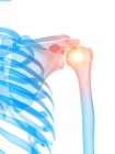 Squelette humain avec douleur à l'épaule, illustration conceptuelle par ordinateur . — Photo de stock