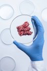 Wissenschaftler hält Petrischale mit künstlichem Fleisch, konzeptionelles Bild von im Labor gezüchtetem Fleisch. — Stockfoto
