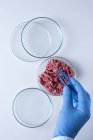 Scientifique prenant avec une pince à épiler de la viande cultivée en laboratoire, image conceptuelle du génie génétique . — Photo de stock