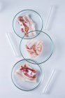 Conceptual image of cultured meat grown in laboratory glassware. — Stock Photo