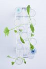Plantas verdes em tubos de ensaio, conceito de investigação botânica . — Fotografia de Stock