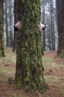 Hands of person embracing mossy tree trunk in woodland. — Stock Photo