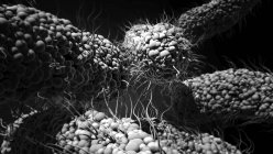 Abstrakte Bakterien, konzeptionelle digitale Illustration. — Stockfoto