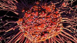 Распространение раковых клеток, цифровая иллюстрация . — стоковое фото