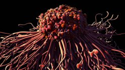 Espalhamento de células cancerígenas, ilustração digital . — Fotografia de Stock