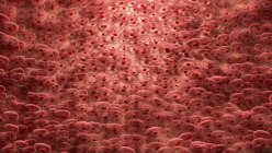 Сердечные мышечные клетки, цифровая иллюстрация . — стоковое фото