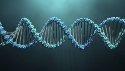 Molécula de ADN sobre fondo liso, ilustración digital . - foto de stock