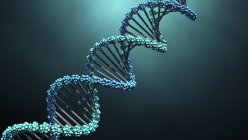 DNA molecule on plain background, digital illustration. — Stock Photo