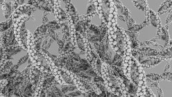Абстрактні чорно-білі молекули ДНК, цифрова ілюстрація .. — стокове фото