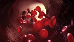 Rote Blutkörperchen in Blutgefäßen, digitale Illustration. — Stockfoto