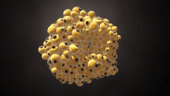 Cellules adipeuses adipocytaires, illustration numérique . — Photo de stock