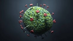 Partícula del virus Nipah, ilustración digital . - foto de stock