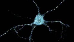 Нервные клетки искусственного интеллекта, концептуальная цифровая иллюстрация . — стоковое фото