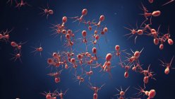 Bakteriophagen auf blauem Hintergrund, digitale Illustration. — Stockfoto