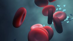 Rote Blutkörperchen und Proteine, digitale Illustration. — Stockfoto