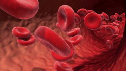 Red blood cells in blood vessel, digital illustration. — Stock Photo
