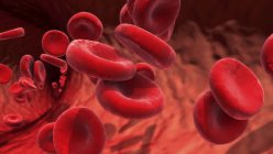 Globules rouges dans les vaisseaux sanguins, illustration numérique . — Photo de stock