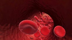 Globules rouges dans les vaisseaux sanguins, illustration numérique . — Photo de stock
