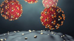 Partículas del virus del sarampión que brotan de las células, ilustración digital . - foto de stock