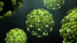 Partículas del virus del sarampión que brotan de las células, ilustración digital . - foto de stock
