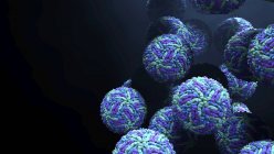 Virus Zika particelle blu, illustrazione digitale . — Foto stock
