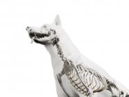 Estrutura do esqueleto do cão, corte, ilustração do computador . — Fotografia de Stock