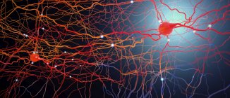 Цветная цифровая иллюстрация нейронной сети нервной системы в мозге человека . — стоковое фото