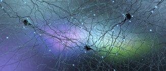 Барвисті цифрові ілюстрації нейронної мережі нервової системи в мозку людини . — стокове фото