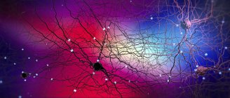 Illustration numérique colorée du réseau neuronal du système nerveux dans le cerveau humain . — Photo de stock