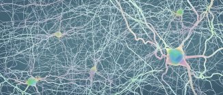 Abstrakte Struktur neuronaler Netzwerke auf hellem Hintergrund, digitale Illustration. — Stockfoto