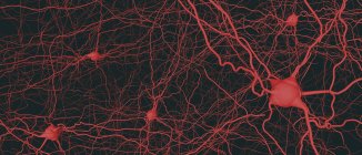 Abstrakte Struktur neuronaler Netzwerke auf dunklem Hintergrund, digitale Illustration. — Stockfoto