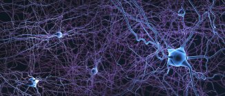 Abstract structure of neural network on dark background, digital illustration. — Stock Photo
