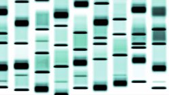 Modello autoradiografo DNA, illustrazione digitale . — Foto stock