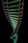 ADN abstrait généré numériquement hélice sur fond noir . — Photo de stock
