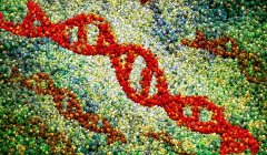 Modèle abstrait d'ADN rouge, illustration numérique conceptuelle . — Photo de stock