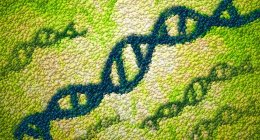 Patrón de ADN verde abstracto, ilustración digital conceptual . - foto de stock