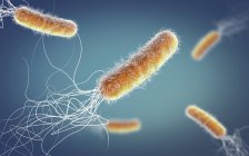 Antibiótico resistente Pseudomonas aeruginosa bactérias, ilustração 3D digital. — Fotografia de Stock