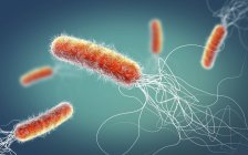 Resistentes antibióticos Pseudomonas aeruginosa bacterias, 3d ilustración.. - foto de stock