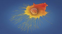 Міграція клітин раку молочної залози, цифрова 3d ілюстрація . — стокове фото
