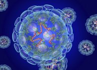 Цифрова ілюстрація структури коронавірусу, що спричиняє інфекцію дихальних шляхів, пов'язану із застудою, пневмонією та сильним гострим респіраторним синдромом . — стокове фото
