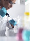 Scientist pipetting sample into micro centrifuge tubes ready for automated analysis. — Stock Photo