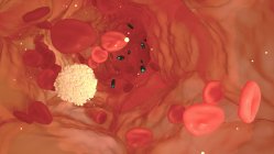 Ilustración informática de bacterias de la sangre blanca neutrohil que persiguen células blancas en el torrente sanguíneo.. - foto de stock