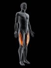 Figura maschile astratta con dettagliato muscolo Vastus lateralis, illustrazione digitale . — Foto stock