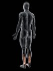 Абстрактное мужское тело с детальной галлюцинацией Flexor, компьютерная иллюстрация
. — стоковое фото