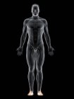 Figura maschile con muscoli evidenziati dei piedi, illustrazione digitale . — Foto stock