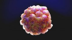 Ilustración por ordenador de la división de células tumorales cancerosas . - foto de stock