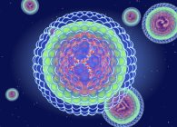 Estrutura do vírus da hepatite B, ilustração digital . — Fotografia de Stock