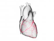 Ишемическая болезнь сердца, компьютерная иллюстрация. — стоковое фото