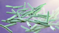 Ilustração digital de Mycobacterium leprae bactérias Gram-positivas em forma de bastonete, agente causador da doença hanseníase . — Fotografia de Stock