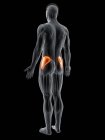 Cuerpo masculino abstracto con músculo Gluteus medius detallado, ilustración por ordenador . - foto de stock